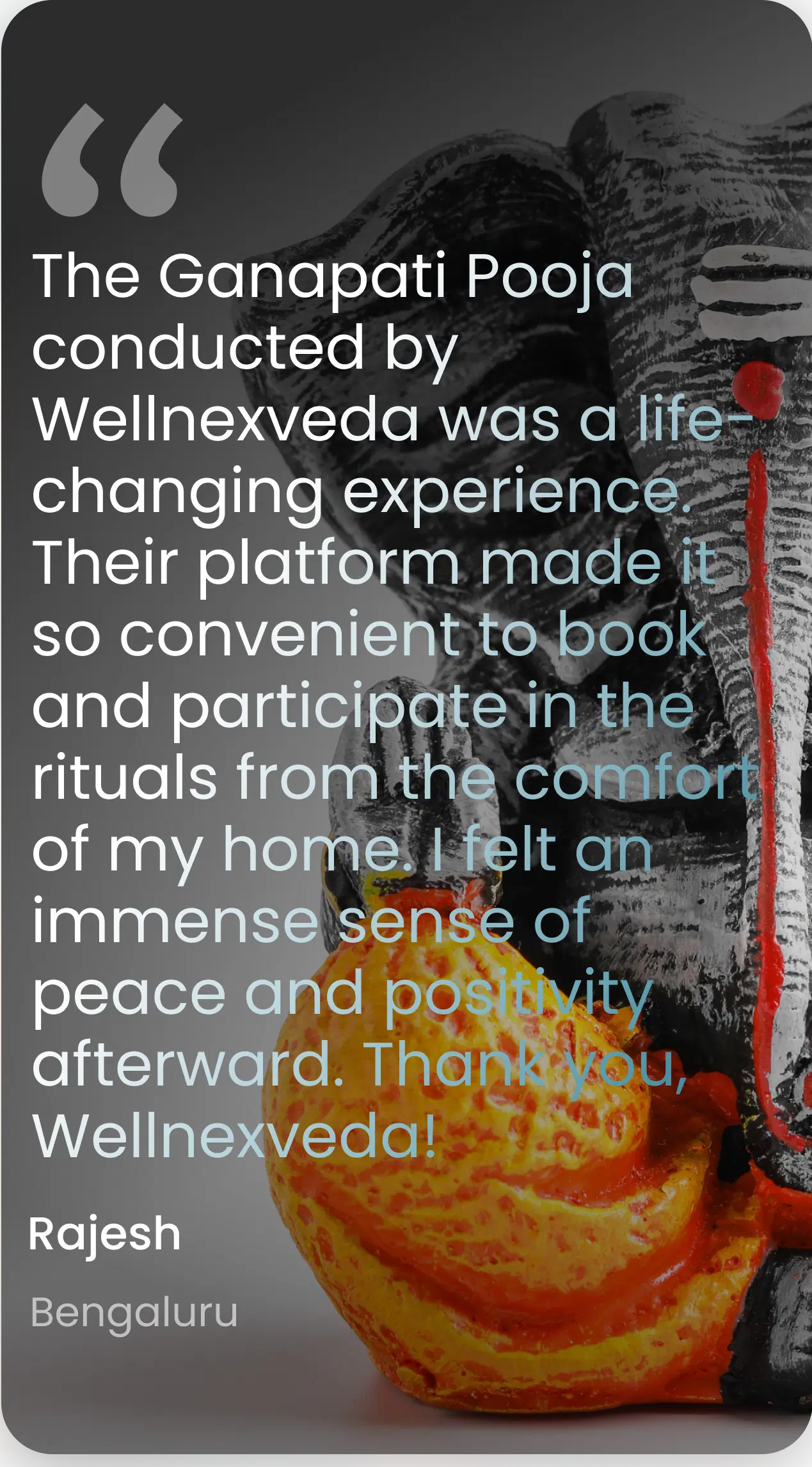 WellneXveda testimonial illustration for desktop view