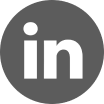 in-icon