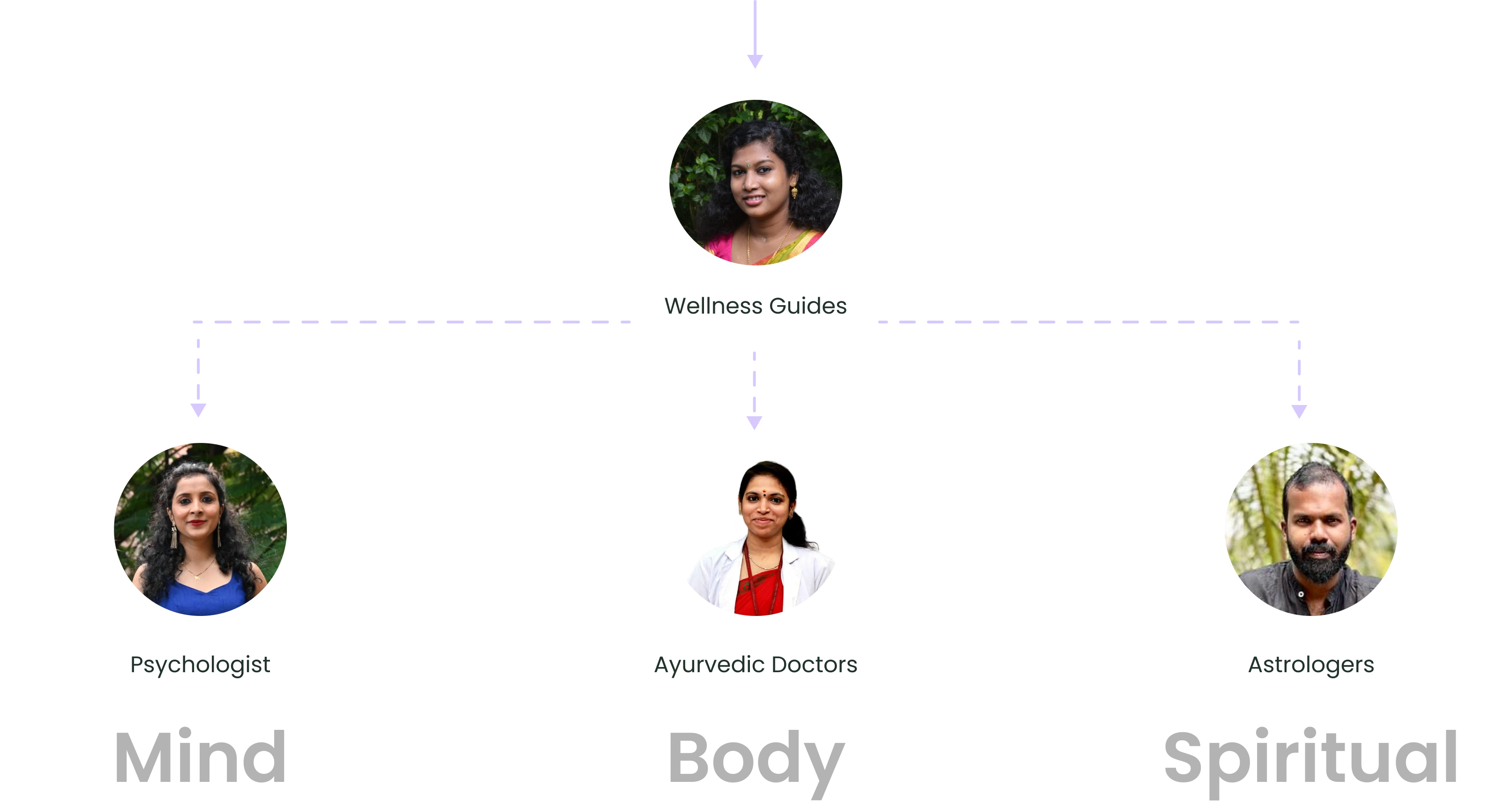 Wellness Guide Tree